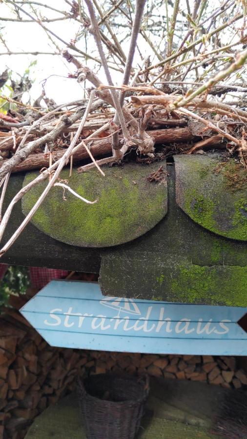 Fewo Bei Tati - Bungalow Singen Exteriér fotografie