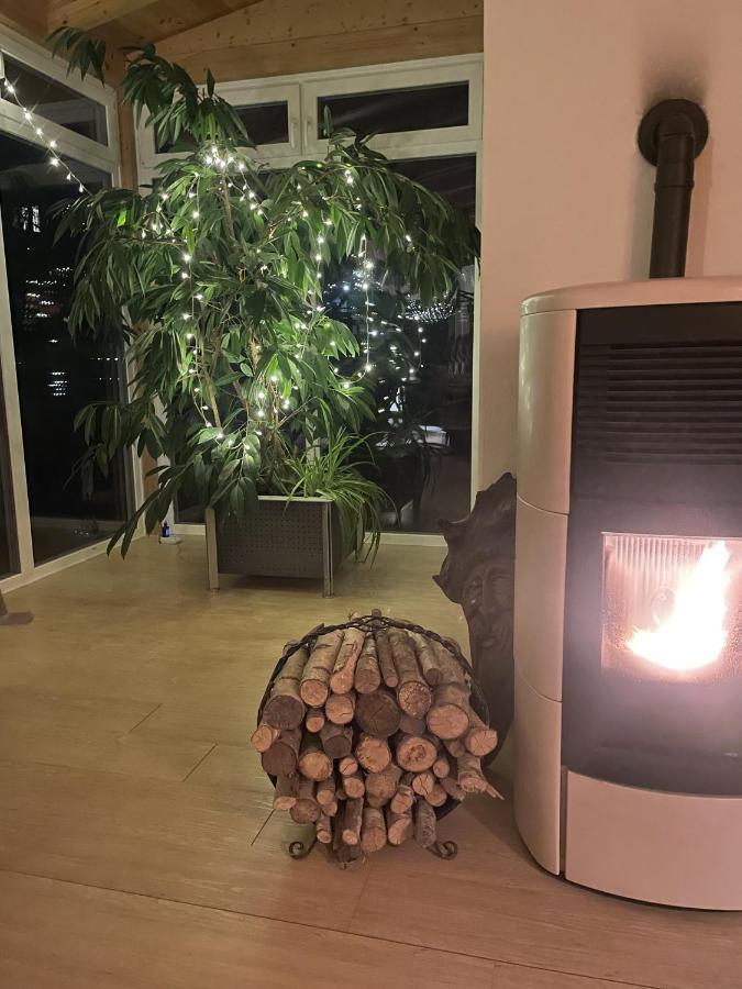 Fewo Bei Tati - Bungalow Singen Exteriér fotografie